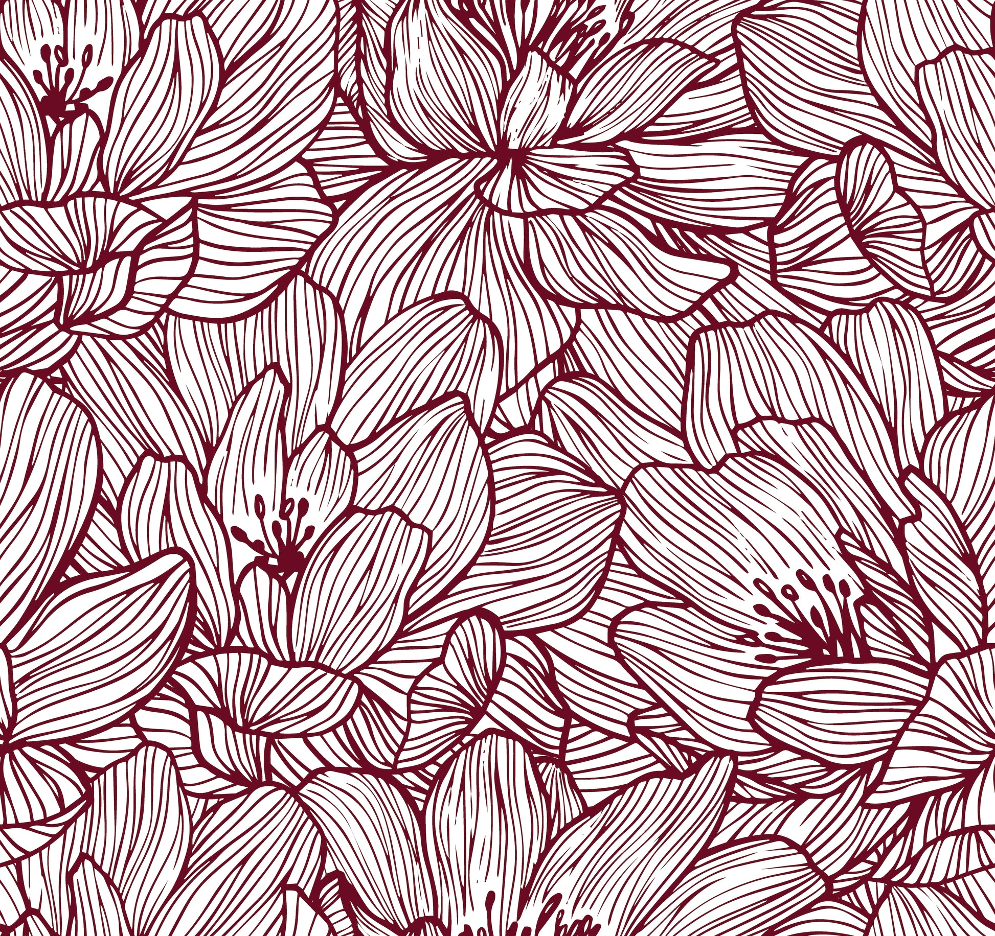  Lined Flowers Burgundy Floral Wallpaper