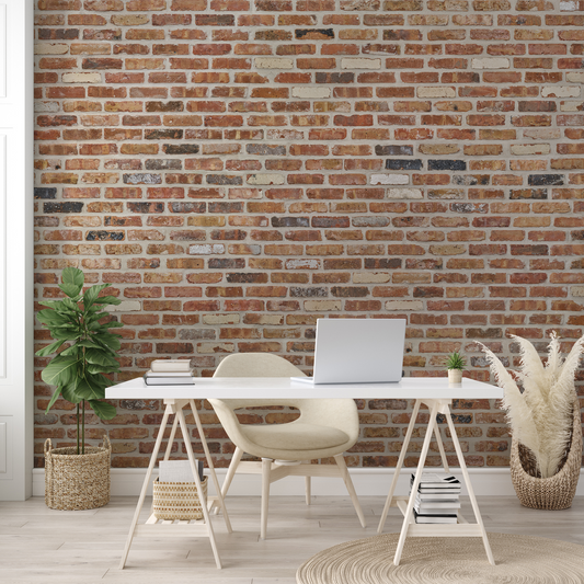Chicago Brick Tuscany Traditional Sample