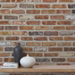 Chicago Brick Tuscany Wallpaper